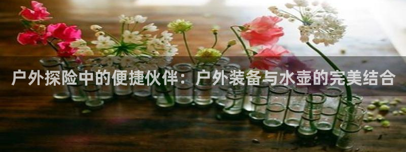 新宝gg总部