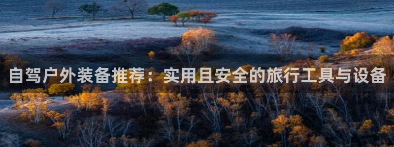 新宝哈哈gg