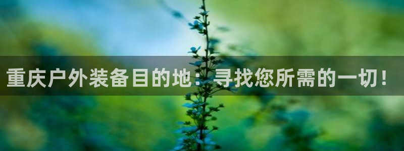 创造奇迹 新宝gg
