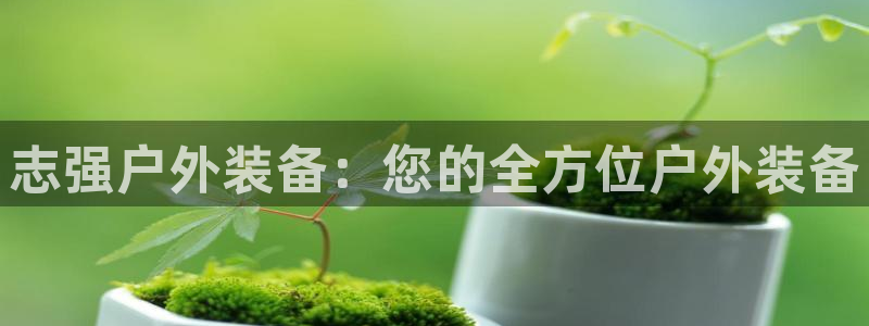 新宝gg手机