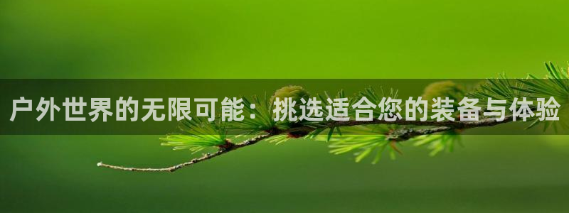 新宝gg cqdellar