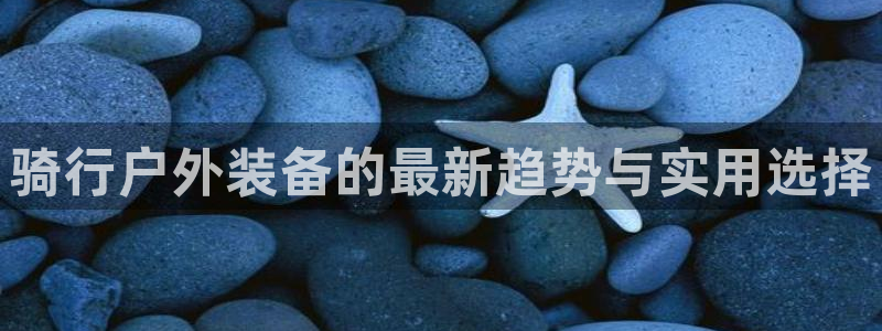 新宝gg-
