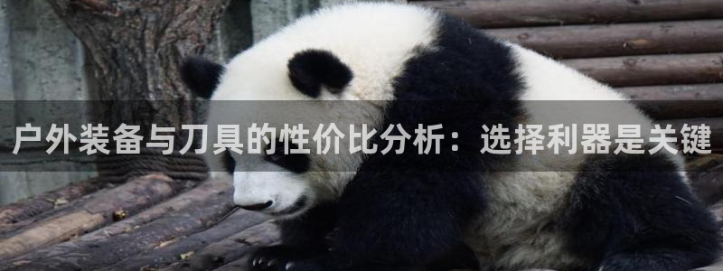 新宝gg返点