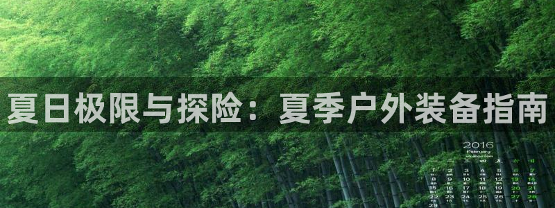 新宝gg平台下载安装