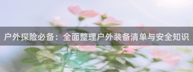 新宝gg手机助手
