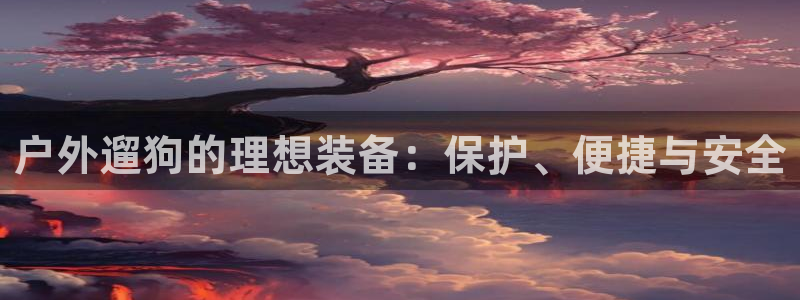 新宝哈哈gg