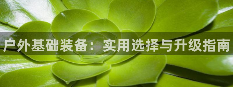 新宝gg申请账号