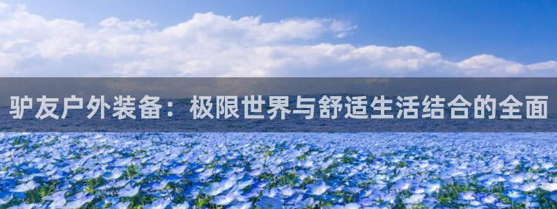 新宝奇迹GG