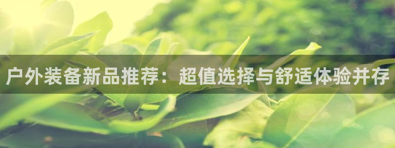 新宝gg平