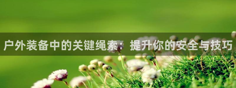 新宝gg样