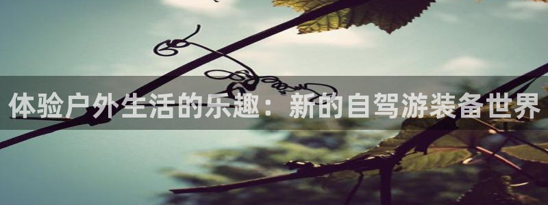行新宝gg