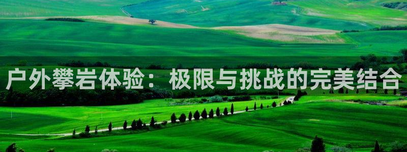 新宝gg分红