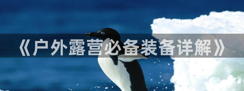 新宝给gg