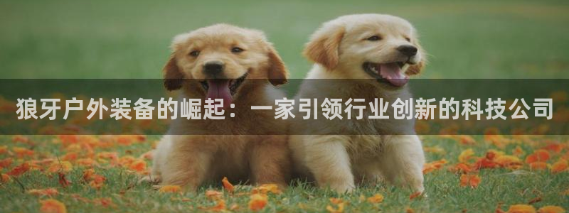 新宝哈哈gg