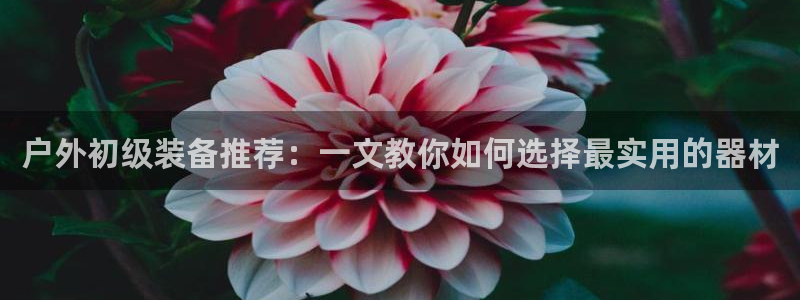 行新宝gg