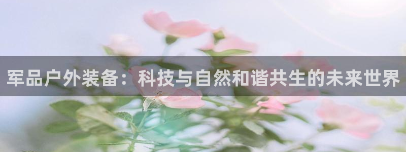 新宝gg地址