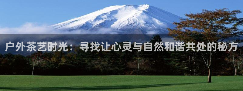 新宝gg提点