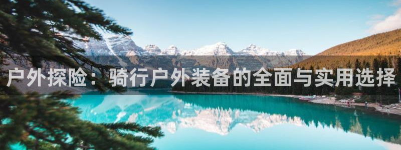 百度新宝gg