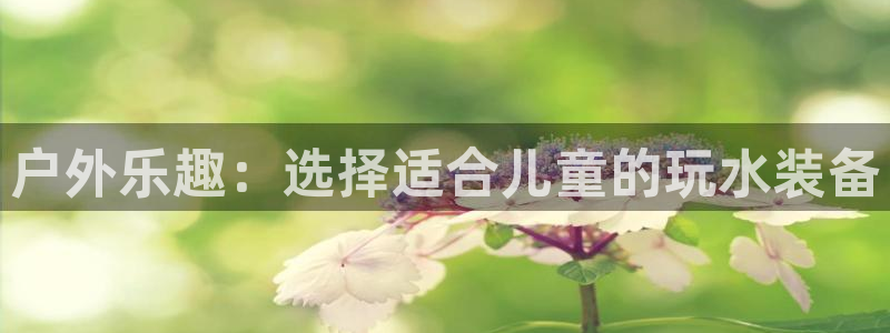 新宝.gg
