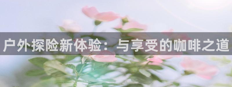 新宝gg龙虎规则