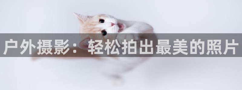 新宝gg博客