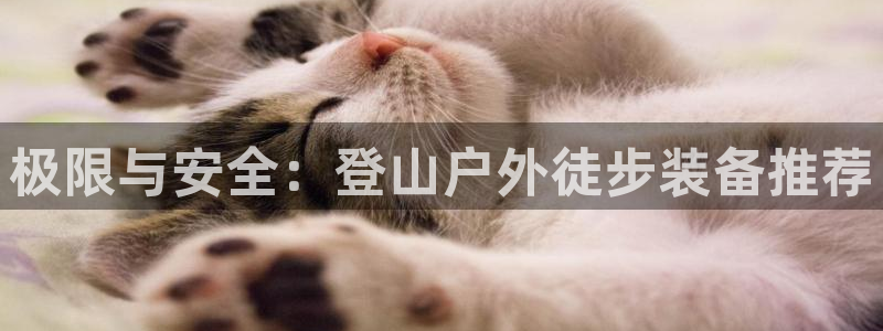新宝GG创业奇迹