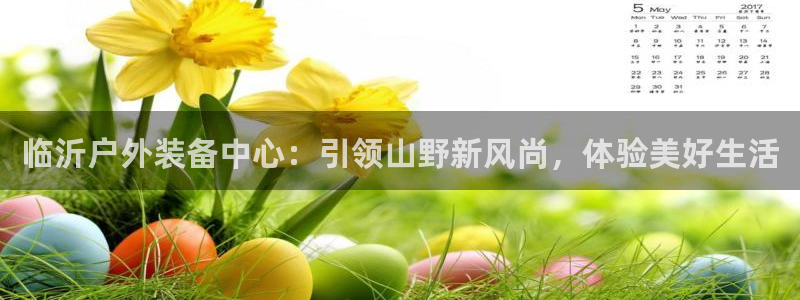 新宝gg正规