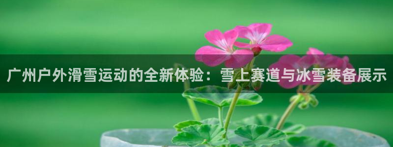 新宝gg论坛