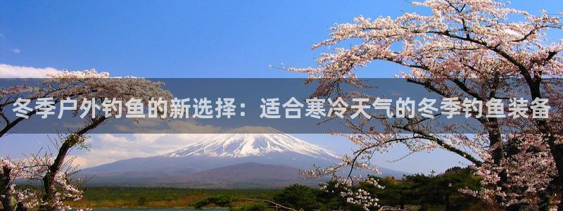 新宝gg地址