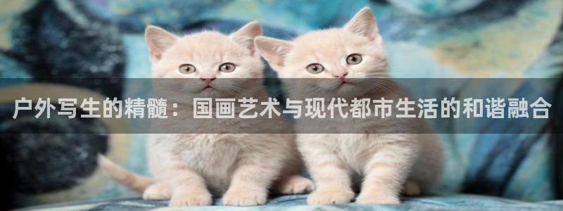 新宝gg主管都是谁