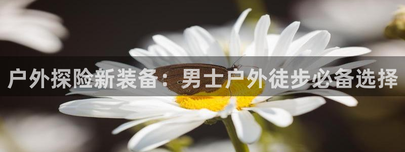 新宝gg合作