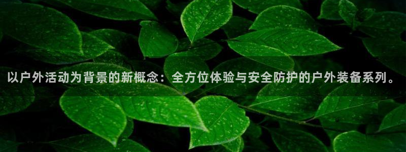 新宝gg平台