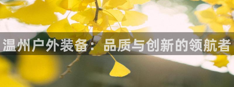 新宝gg代理
