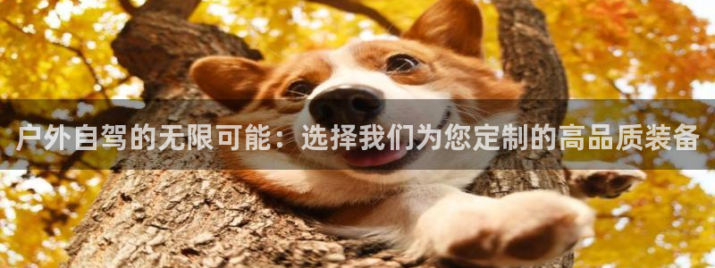 新宝gg ios下载