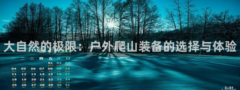 新宝gg成立
