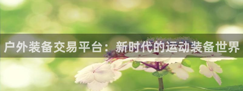 新宝GG电话
