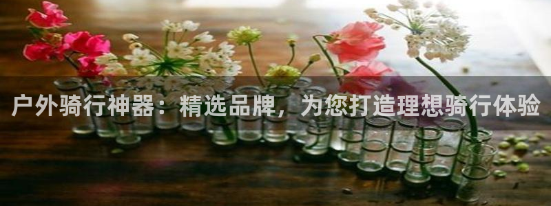 新宝GG苹果版