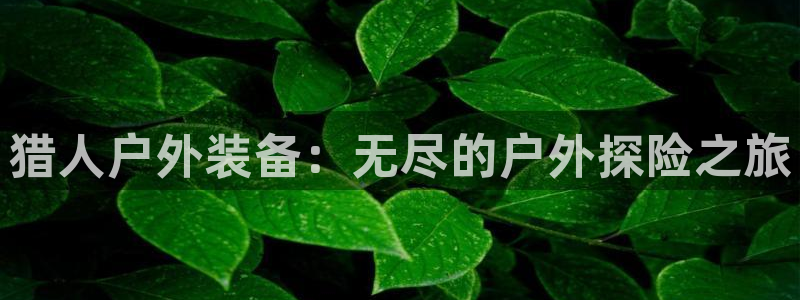 新宝gg招商