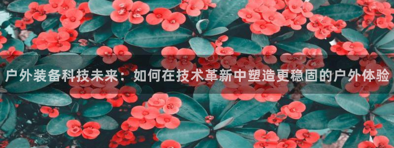 新宝GG管理