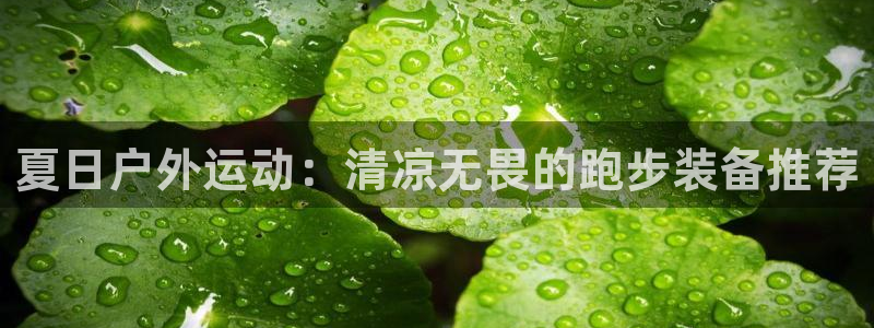 新宝gg龙虎规则