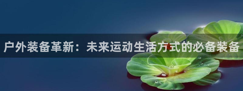 新宝gg总代理