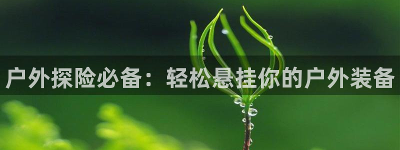 新宝gg在哪开户