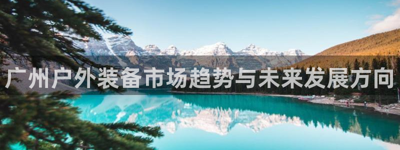 新宝gg平台连接