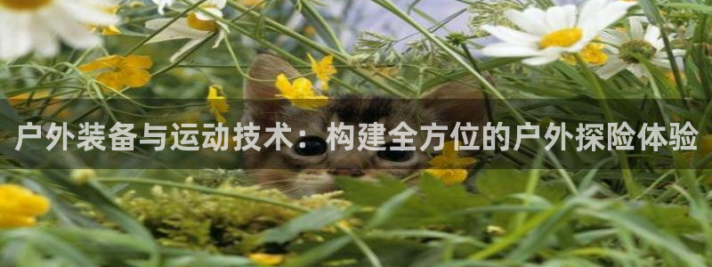 新宝gg网娱乐