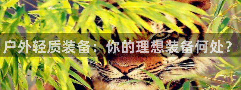 新宝gg开奖