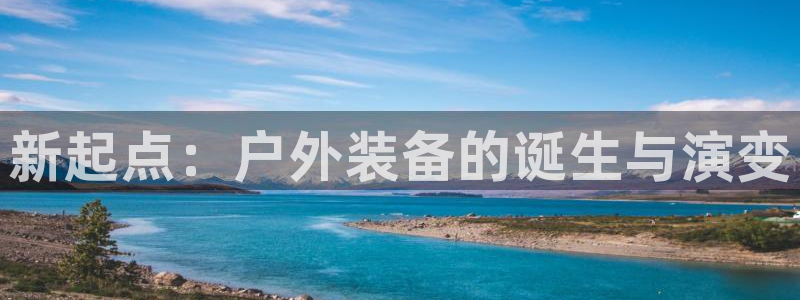 正版新宝gg