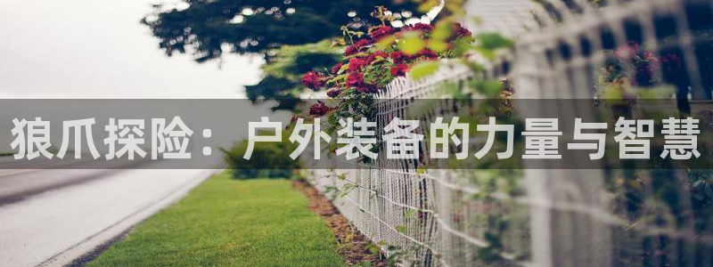 新宝太阳gg