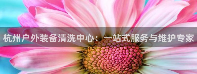 新宝gg申请账号