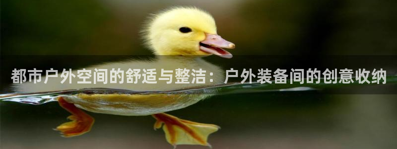xbgg新宝gg