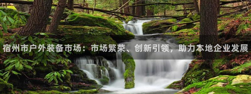 新宝gg申请账号